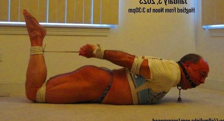 - Hogtied and Suffering - Eine Zusammenfassung