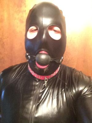 Chienne Gimp En Caoutchouc