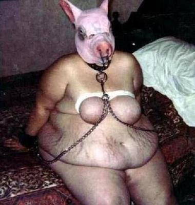 Cerdos bondage BDSM... oink, oink.