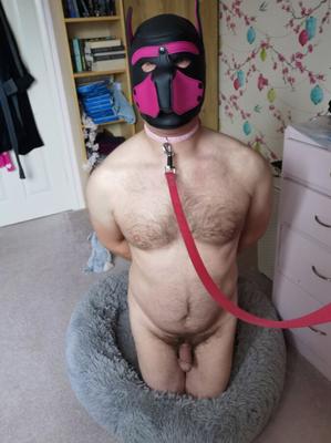 Sissy Puppy DeeDee braucht einen Meister ...