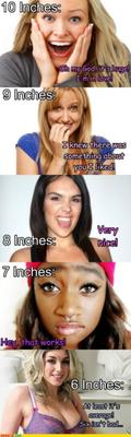 A guide to penis size