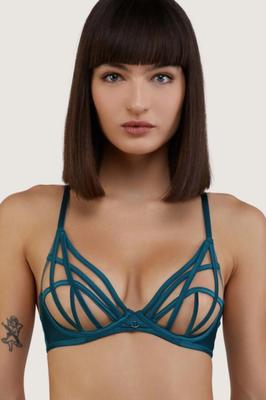 Playful Promises lingerie - bras panties Autumn Winter -