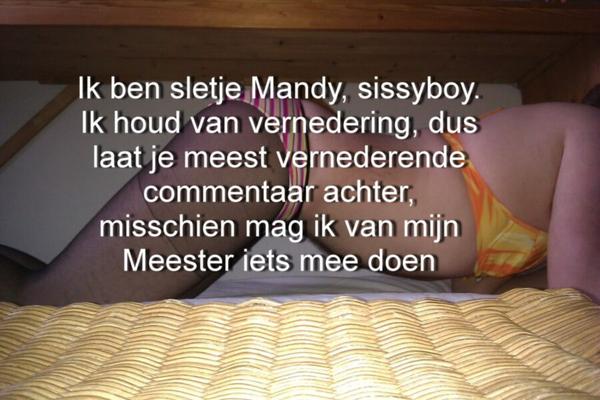 comentarista van Meester