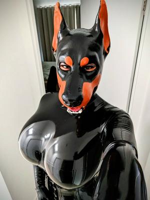 Sexy pup