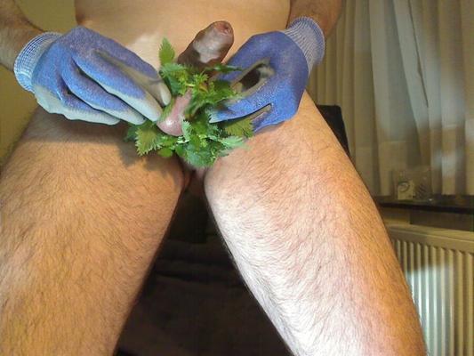 cbt - fresh nettles on balls