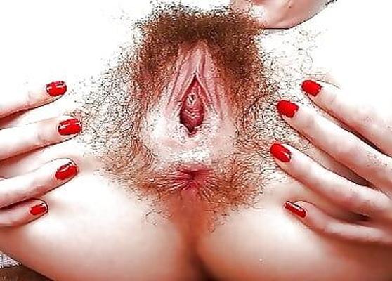 Very hairy bush