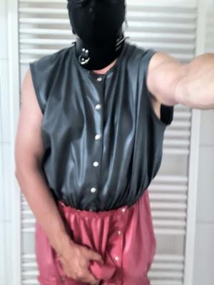 rubberized and leashed - preparation for a walk on a hot day