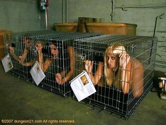 En cage