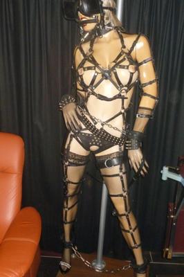 "Else" in neuem Gewand. Lederharness Ponyplay in Ketten gelegt