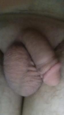 humiliate my penis/humiliez mon pénis