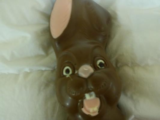 Will you be my Easter buny?