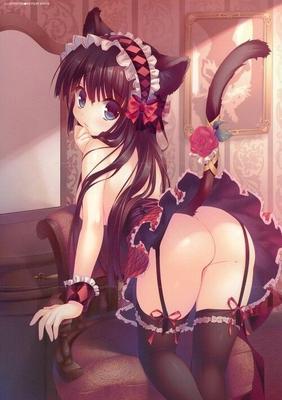 Neko Anime Girls IV