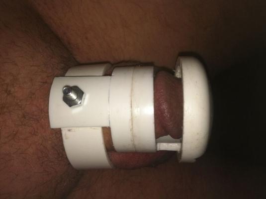 Prototype chastity cage