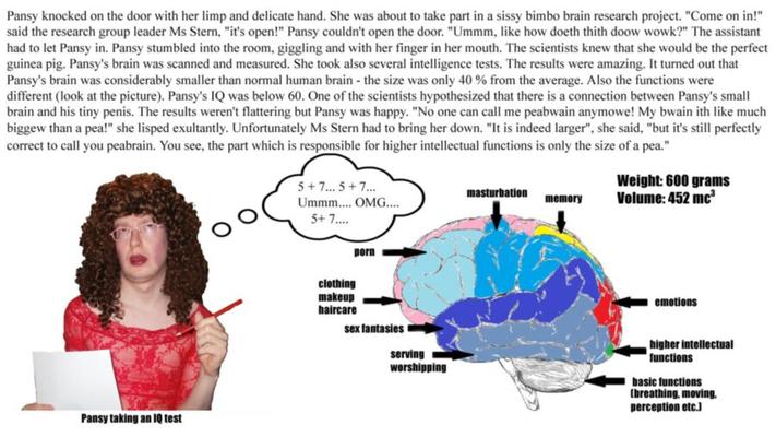 Cerveau de poule mouillée bimbo