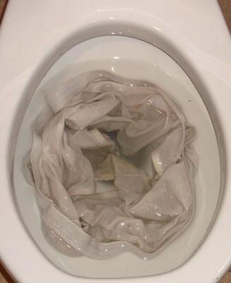 Panties Found in Toilets