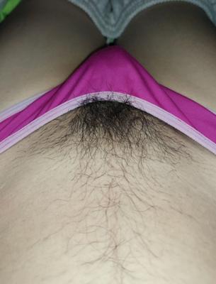 Hairy bush