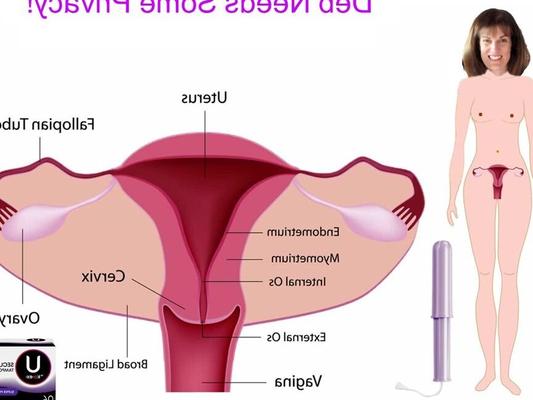 デブにはプライバシーが必要です