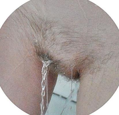 Meine Favoriten Bilder - (Hairy)