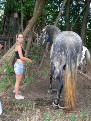 Alice na Fazenda de Cavalos 2