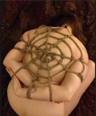 Shibari und Seilbindung